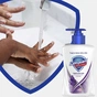 Рідке мило Safeguard Лаванда 225 мл (8001090338143/8006540209929) - зменшене зображення 3