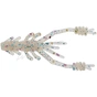 Силікон рибальський Reins RING SHRIMP 2" 211 UV Pearl Candy 12шт (1552.08.24) - зменшене зображення 1