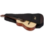 Гітара класична Cort AC70 Open Pore (With Bag) (AC70 OP w/bag) - зменшене зображення 5