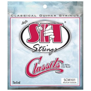 Струни для гітари SIT Strings SCM101 (30-40) (226930) зображення 1