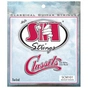 Струни для гітари SIT Strings SCM101 (30-40) (226930) - зменшене зображення 1