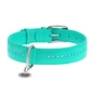 Нашийник для тварин WAUDOG Glamour з QR-паспортом, подвійний Ш 35 мм Д 46-60 см ментоловий (388213) - зменшене зображення 2