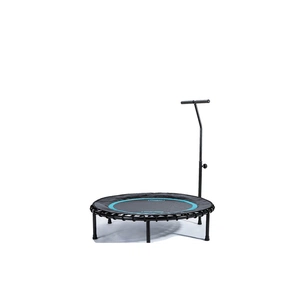 Батут LivePro Trampoline With Handle LP8250B із ручкою чорний, синій Уні 100 см (6951376130089) picture 1