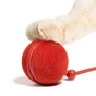 Игрушка для собак Cheerble Wicked Ball Duo2 (Vintage Red) (CWJ04R) - уменьшенное изображение 9