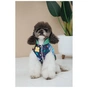 Жилет для тварин Pet Fashion Grass XS2 (4823082435920) - уменьшенное изображение 6