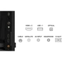 Телевізор TCL 40S5L - зменшене зображення 10