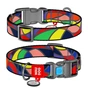 Нашийник для тварин WAUDOG Nylon з QR паспортом "Вітраж" пластиковий фастекс XL (4581) - зменшене зображення 1