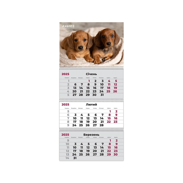 Календар Axent настінний квартальний 2025 рік 3 пр. Dogs 1 (8803-25-16-A) - изображение 1