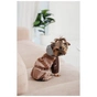 Дощовик для тварин Pet Fashion Mustang XL (4823082435128) - уменьшенное изображение 8