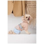 Дощовик для тварин Pet Fashion Tina S бежевий/блакитний (4823082435159) - зменшене зображення 4