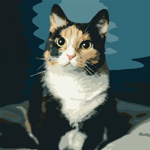 Картина по номерам Santi Триколірне щастя 40*50 см (954022) зображення 1