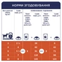 Вологий корм для собак Club 4 Paws для малих порід з ягням у соусі 100 г (4820215363464) - зменшене зображення 6