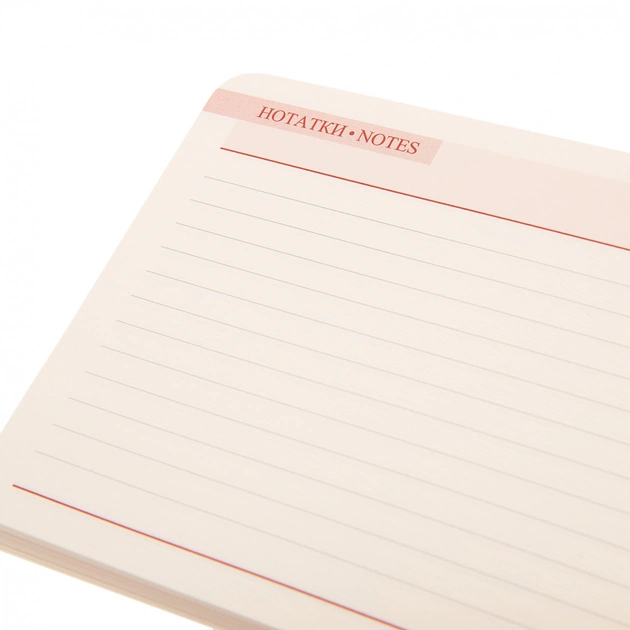 Еженедельник Leo planner датированный 2025 Apiro 10х15 см 128 страниц (252571) - изображение 6