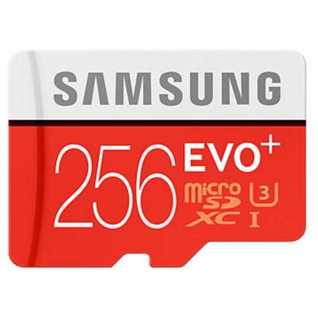 Карта пам'яті Samsung 256GB microSDXC class 10 UHS-I EVO PLUS (MB-MC256DA/RU) - зображення 1