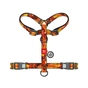 Шлея для собак WAUDOG Nylon H-подібна з QR-паспортом "Швидкість Флеша", пластиковий фастекс S (343-1080) - зменшене зображення 2