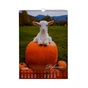 Календарь Buromax настенный А3 2027 год, 1 пружина, Cute goat (BM.210601) - уменьшенное изображение 10