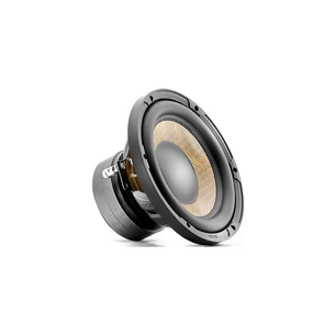 Сабвуферний динамік Focal P20FE зображення 1