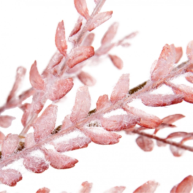 Декоративна гілка YES! Fun Рожева Засніжена 84 см (974812) - picture 2