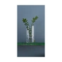 Ваза Trend Glass Flora 29 см (35940) - зменшене зображення 2