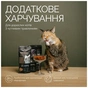 Ласощі для котів Savory Snacks Pillows Gourmand with Salmon 60 г (4820261921328) - уменьшенное изображение 3
