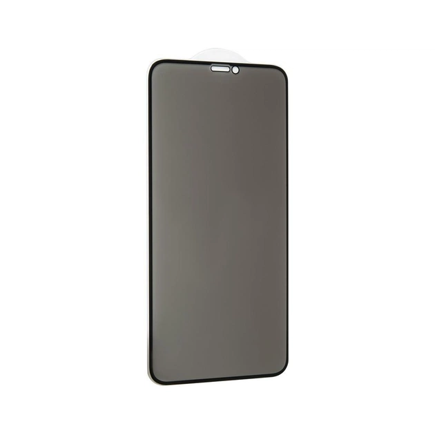 Стекло защитное Gelius Pro 5D Privasy Glass for iPhone XS Max Black (00000070959) - изображение 1