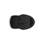 Мишка HP 255 Wireless Black (8R3U1UT) - зменшене зображення 7