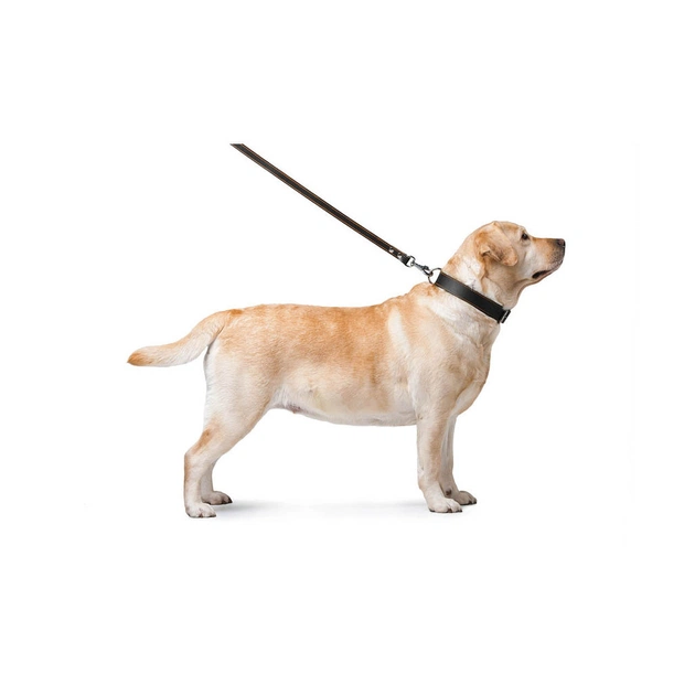 Повідець для собак Collar подвійний з прошивкою Ш 16 мм Д 122 см чорний (04571) - picture 4