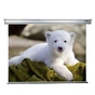 Проекційний екран Sopar 3200 - зменшене зображення 1