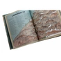 Книга Найвища гора, найглибший океан - Кейт Бейкер Ранок (9786170966391) - уменьшенное изображение 7