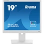 Монітор iiyama B1980D-W5 - зменшене зображення 1