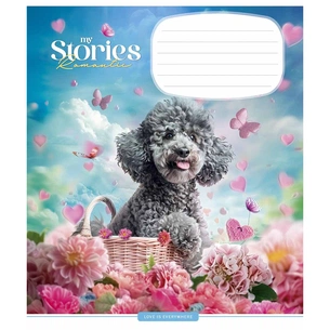 Зошит Школярик Romantic stories 12 аркушів коса лінія (012-3464C) зображення 1