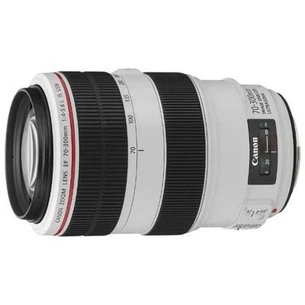 Об'єктив Canon EF 70-300mm f/4-5.6L IS USM (4426B005) зображення 1