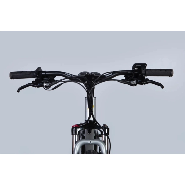 Електровелосипед Formula 29" eF-1 DD CS рама-21" 48B 17.5А*г 500Вт 2026 сріблясто-чорний (ELB-FR-29-256) - picture 6