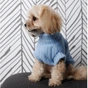 Свитер для животных Pet Fashion Ball S голубой (4823082445110) - уменьшенное изображение 4