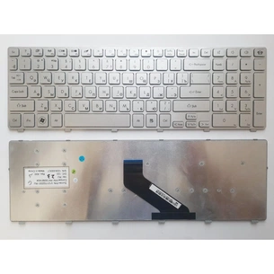 Клавіатура ноутбука Packard Bell NV50/NV51/NV53/NV55/NV59 срібло зі сріблястою рамкою RU (A43793) зображення 1