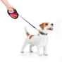 Повідець для собак WAUDOG R-leash Конотопські магічні війська світловідбиваюча стрічка L 5 м (8126-0232-01) - зменшене зображення 3
