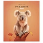 Зошит Школярик Love in paradise 48 аркушів клітинка (048-3256K) - уменьшенное изображение 5