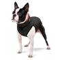 Курточка для тварин Airy Vest двостороння XS 22 червоно-чорна (1700) - зменшене зображення 5