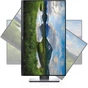 Монітор Dell P2319H (210-APWT) - зменшене зображення 5