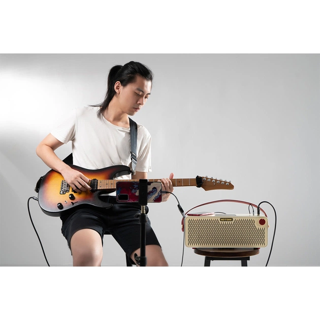 Комбопідсилювач Hotone Audio Pulze Luna (236670) - picture 6