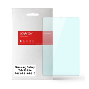 Плівка захисна Armorstandart Anti-Blue Samsung Galaxy Tab S6 Lite P613/P619/P610/P615 (ARM65574) зображення 1
