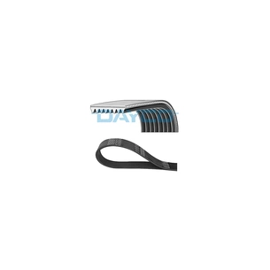 Поліклиновий ремінь DAYCO 8PK2440 зображення 1