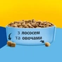 Сухой корм для кошек Purina Friskies Sterilized с лососем и овощами 10 кг (8445291762763) - уменьшенное изображение 6