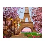 Картина по номерам Rosa Star Романтична алея в Парижі 35х45 см (4823098525097) - зменшене зображення 1