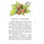 Книга Казки про славетних українців - Галина Дерипаско Ранок (9786170983947) - зменшене зображення 9