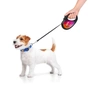Повідець для собак WAUDOG R-leash Конотопські магічні війська світловідбиваюча стрічка M 5 м (8125-0232-01) - зменшене зображення 5