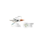Патч-корд Cablexpert 0.5м S/FTP Cat 6A CU LSZH grey (PP6A-LSZHCU-0.5M) - уменьшенное изображение 4