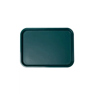 Таця FoREST 45,6 х 35,6 см Зелена (594183) зображення 1