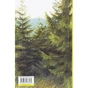 Книга Велике коло - Меґґі Шіпстед Видавництво Старого Лева (9789664483282) - зменшене зображення 2