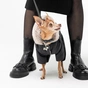 Костюм для тварин Pet Fashion BLACK XS2 (4823082428625) - зменшене зображення 2